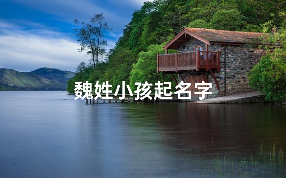 魏姓小孩起名字-优贝算卦网