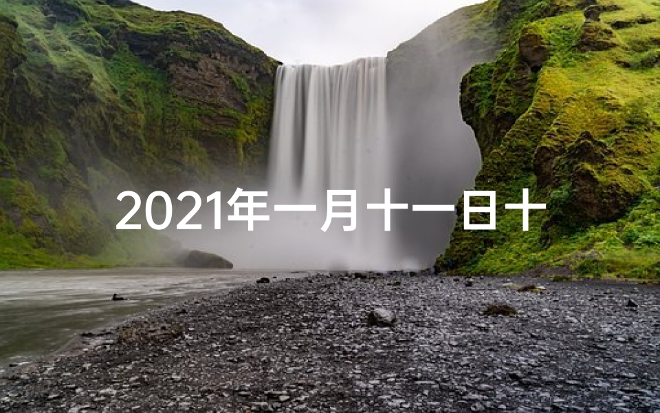 2021年一月十一日十二生肖运势_一月十一日生肖虎运势:财运亨通,事业顺利