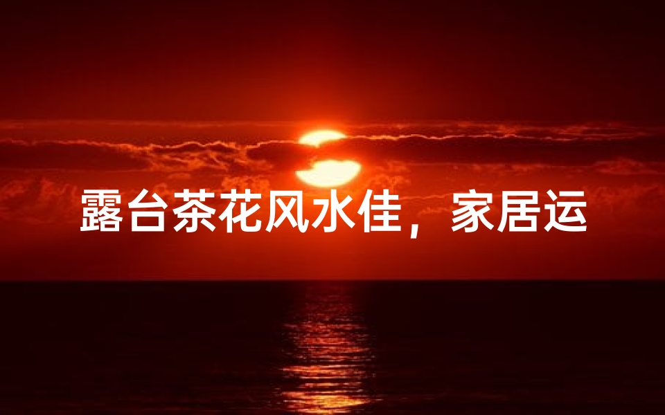 露台茶花风水佳,家居运势更上一层楼