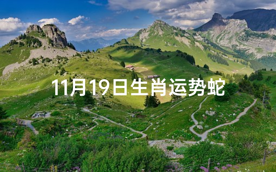 11月19日生肖运势蛇—11月19日出生的人命运
