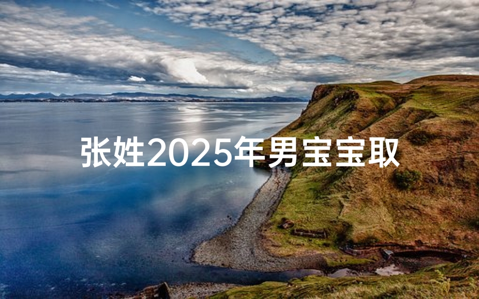 张姓2025年男宝宝取名字