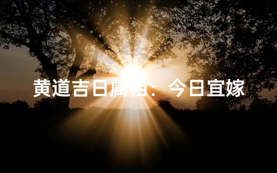黄道吉日属相:今日宜嫁娶,生肖好运来