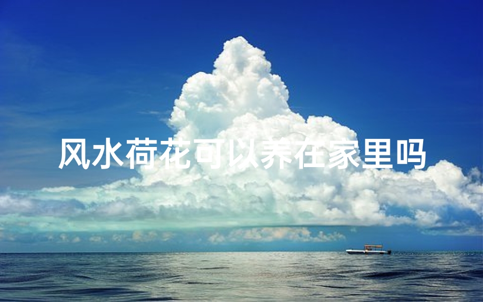 风水荷花可以养在家里吗