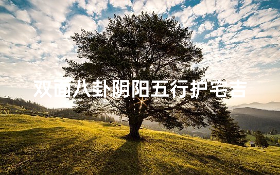 双面八卦阴阳五行护宅吉凶-双面八卦盘怎样摆放