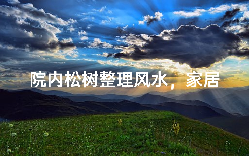院内松树整理风水,家居风水新境界