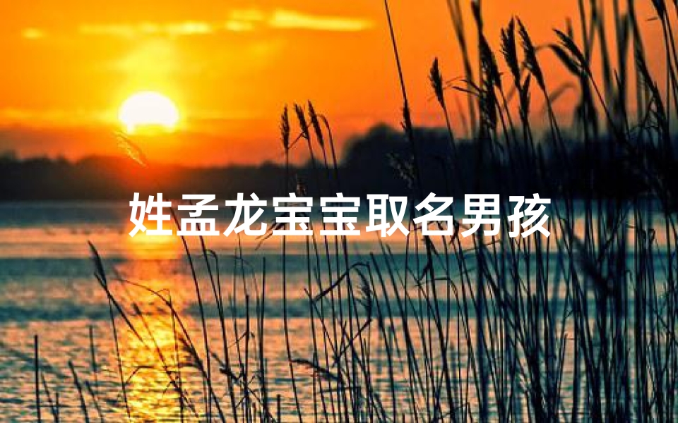 姓孟龙宝宝取名男孩