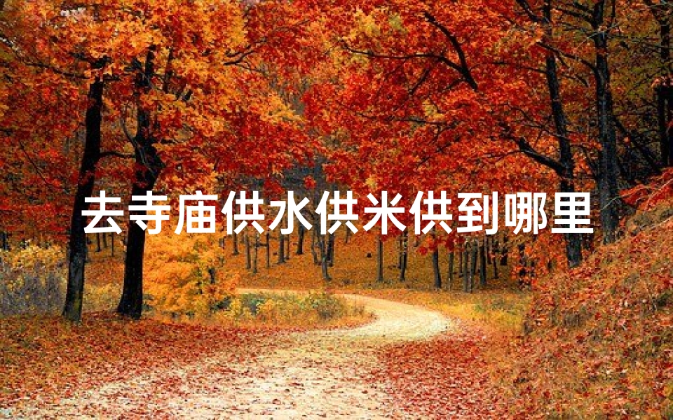 去寺庙供水供米供到哪里