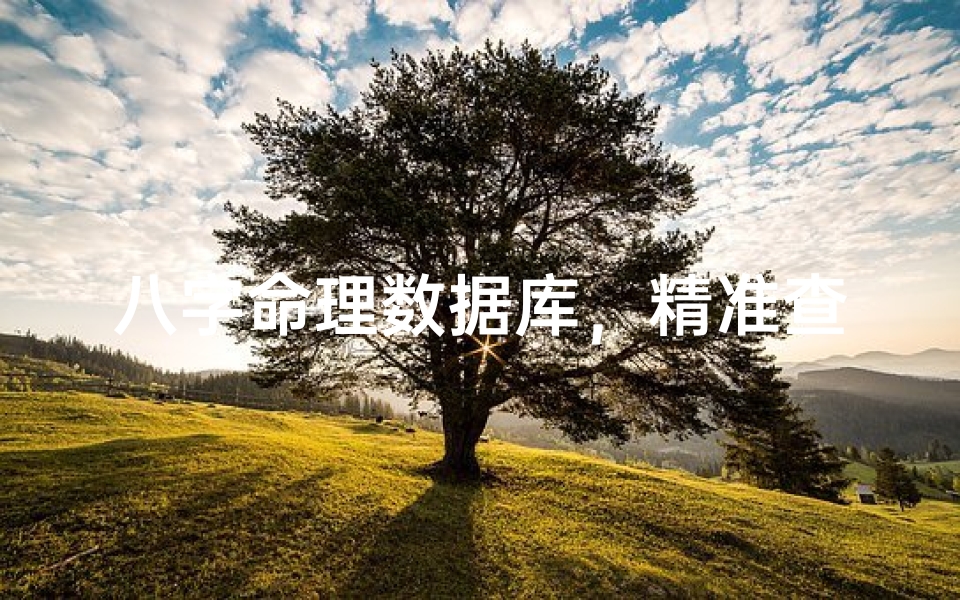 八字命理数据库,精准查询,一网打尽命理奥秘