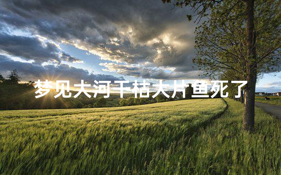 梦见大河干枯大片鱼死了-梦见河干枯有鱼
