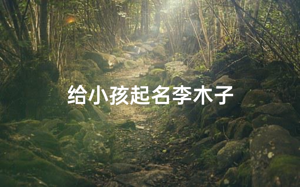 给小孩起名李木子-优贝算卦网