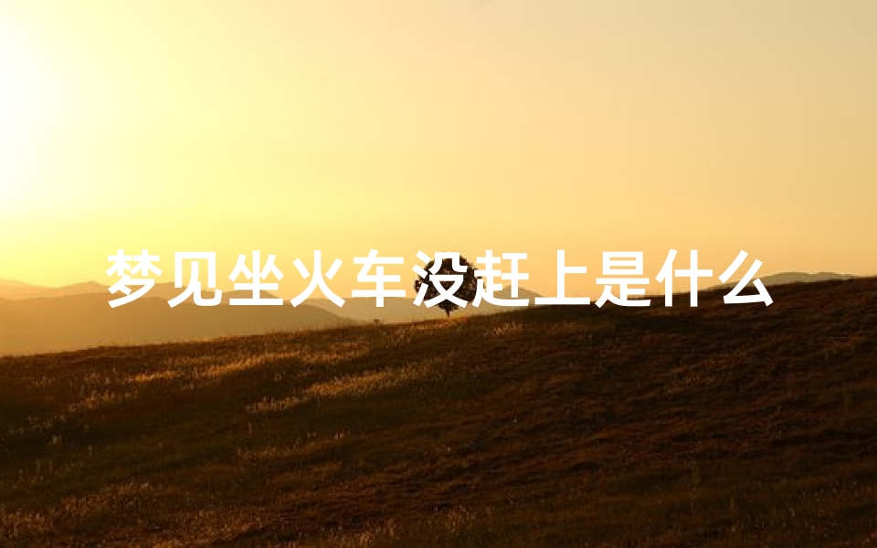 梦见坐火车没赶上是什么预兆-做梦梦到自己坐火车没赶上车