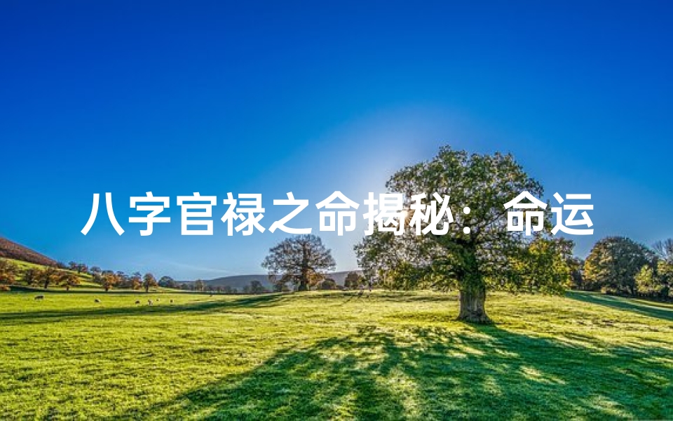 八字官禄之命揭秘:命运与官职的神秘联系