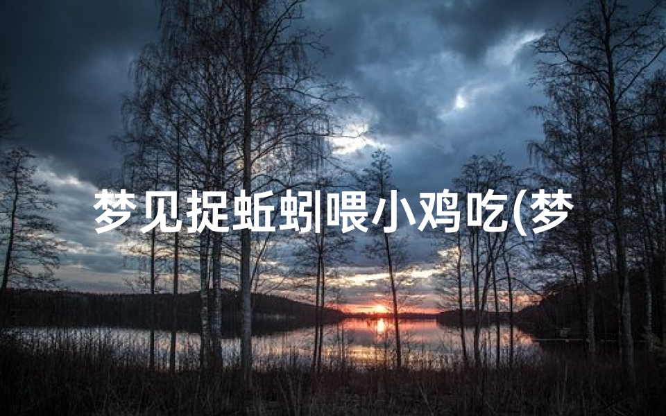 梦见捉蚯蚓喂小鸡吃(梦见挖蚯蚓喂鸭子)