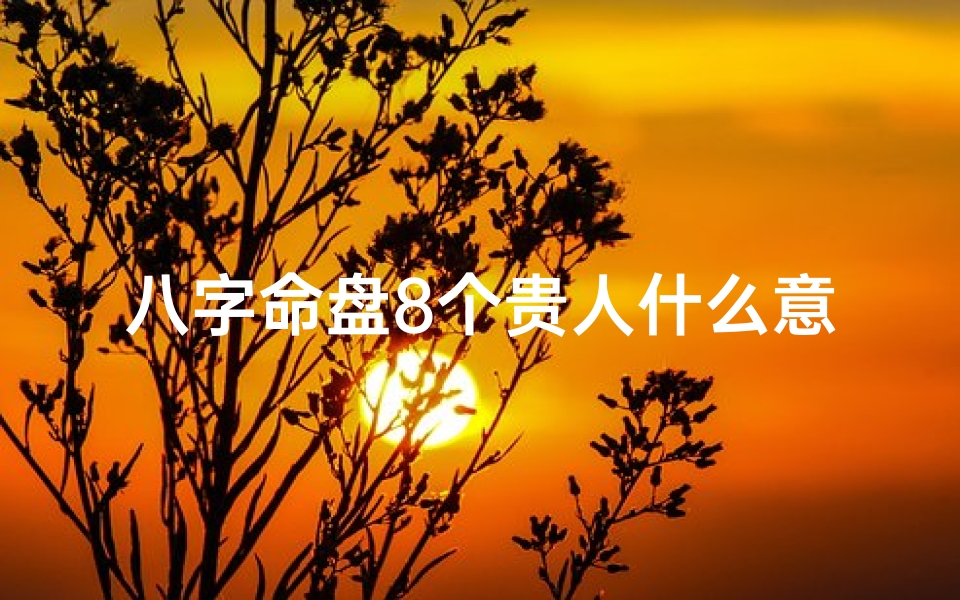 八字命盘8个贵人什么意思—八字有8个贵人