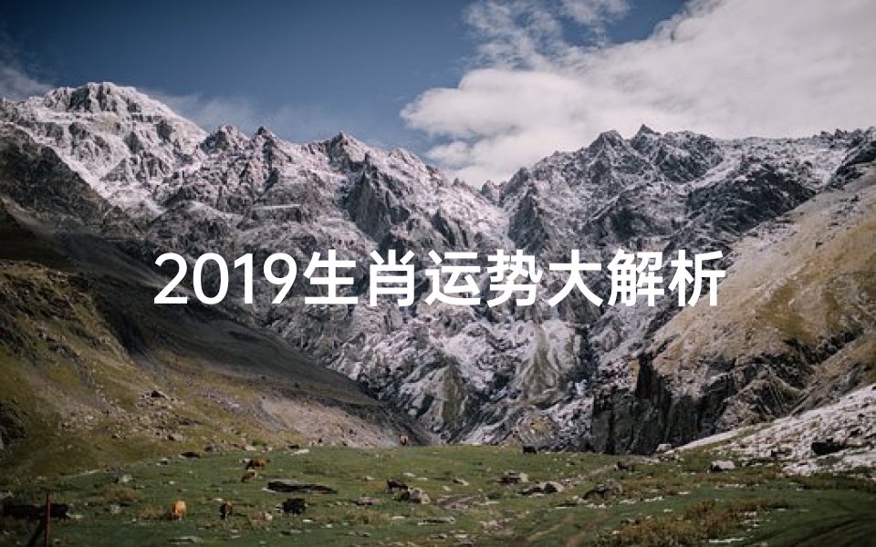 2019生肖运势大解析(2019生肖运势月月详析:生肖运势大揭秘)