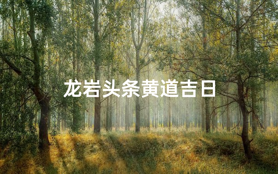 龙岩头条黄道吉日
