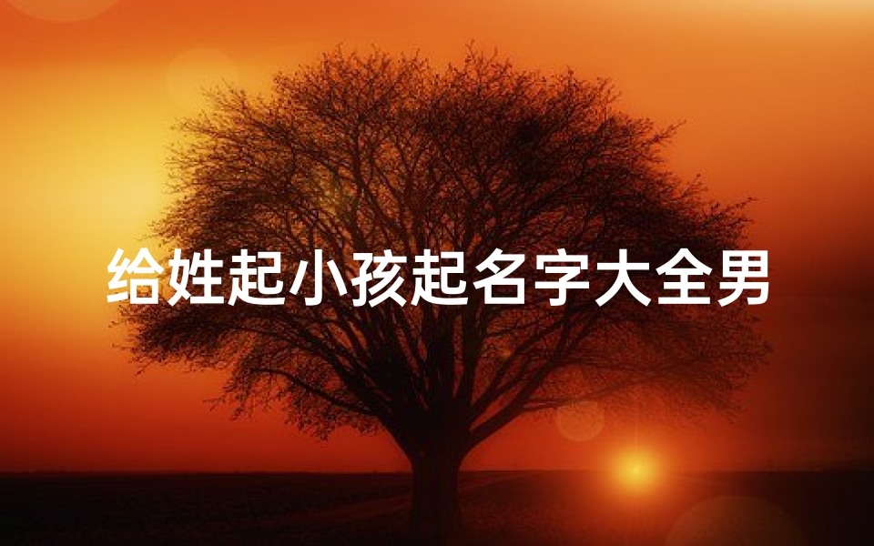 给姓起小孩起名字大全男(《精选大全:姓起男孩名字创意集锦》)