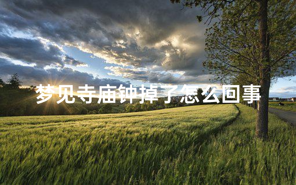 梦见寺庙钟掉了怎么回事_梦见寺庙大钟敲响