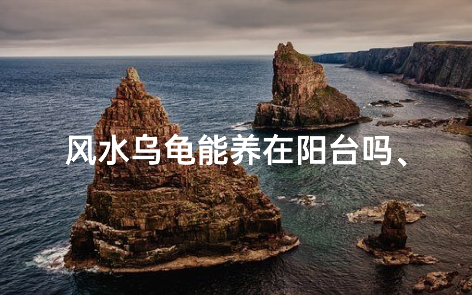风水乌龟能养在阳台吗、阳台风水:乌龟能否安家?-优贝算卦网