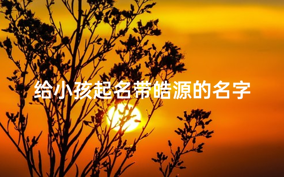给小孩起名带皓源的名字