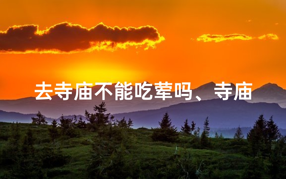 去寺庙不能吃荤吗、寺庙斋饭之旅:食素礼佛,不香亦敬
