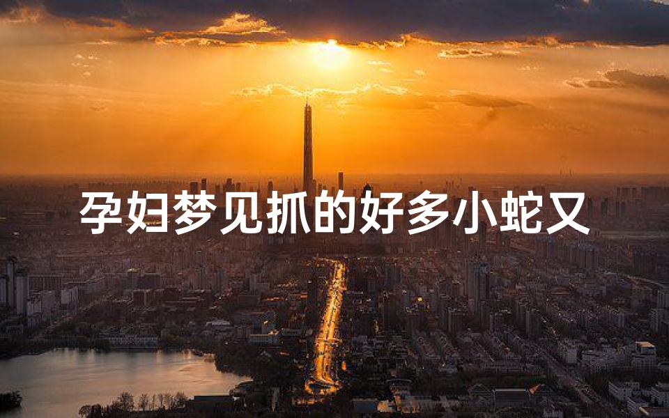 孕妇梦见抓的好多小蛇又跑了;孕妇梦见抓了好多蛇最后都放了