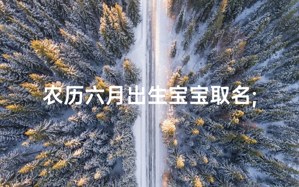 农历六月出生宝宝取名;《吴家龙宝宝,农历六月诞生的吉祥之星》