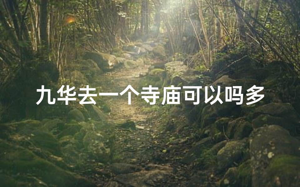 九华去一个寺庙可以吗多少钱_九华寺庙在哪