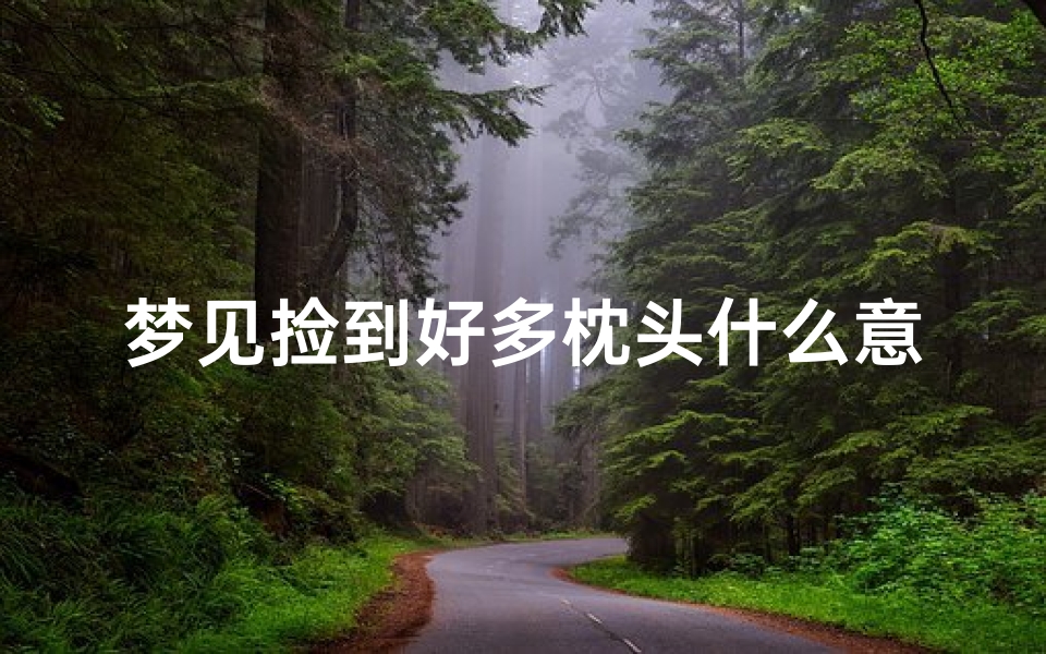 梦见捡到好多枕头什么意思,梦见捡到很多头发预兆什么