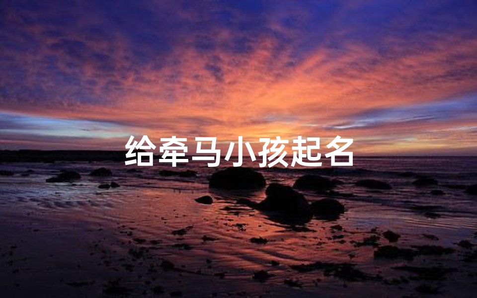给牵马小孩起名