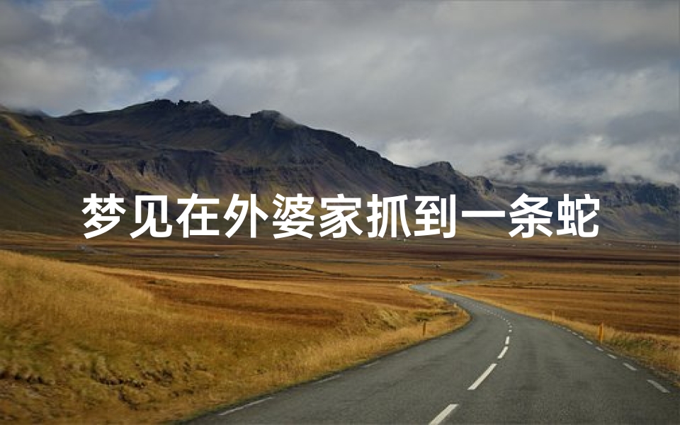 梦见在外婆家抓到一条蛇(梦见在外婆家被蛇咬)