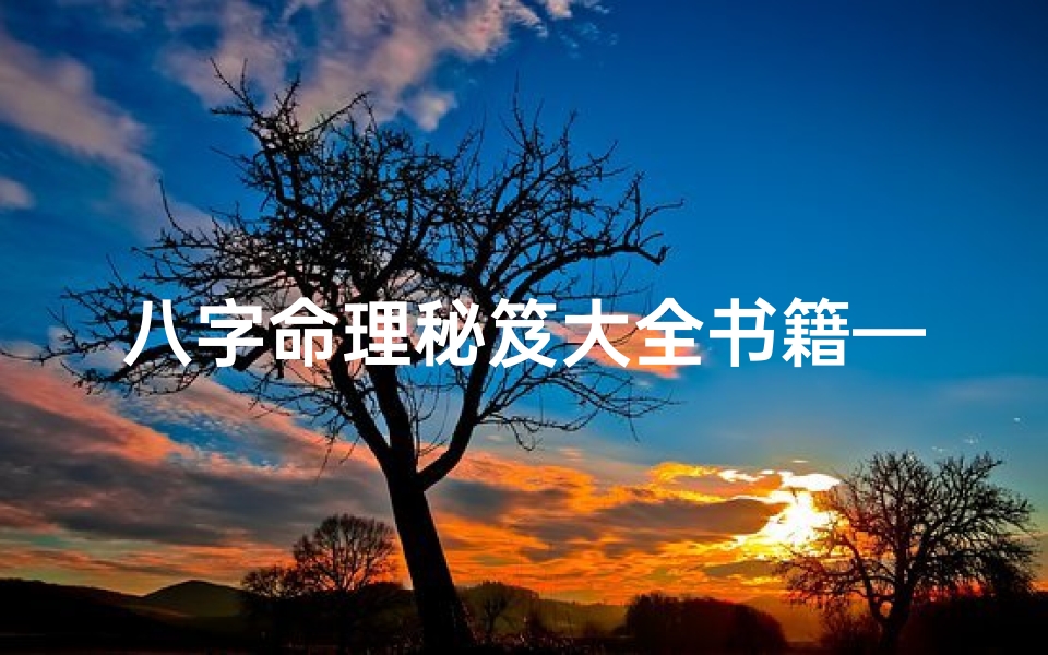 八字命理秘笈大全书籍—《八字命理秘笈大全:揭秘命运奥秘宝典》