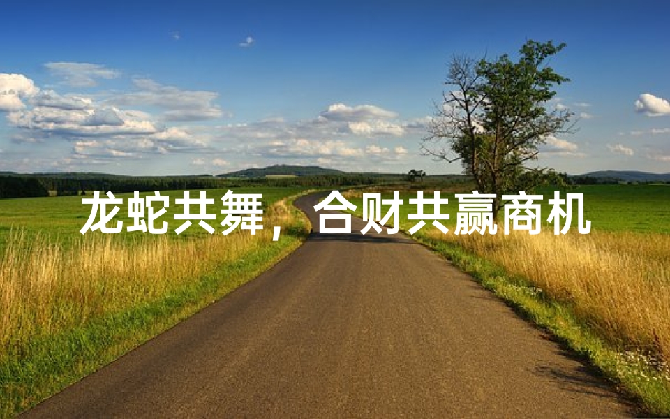 龙蛇共舞,合财共赢商机无限