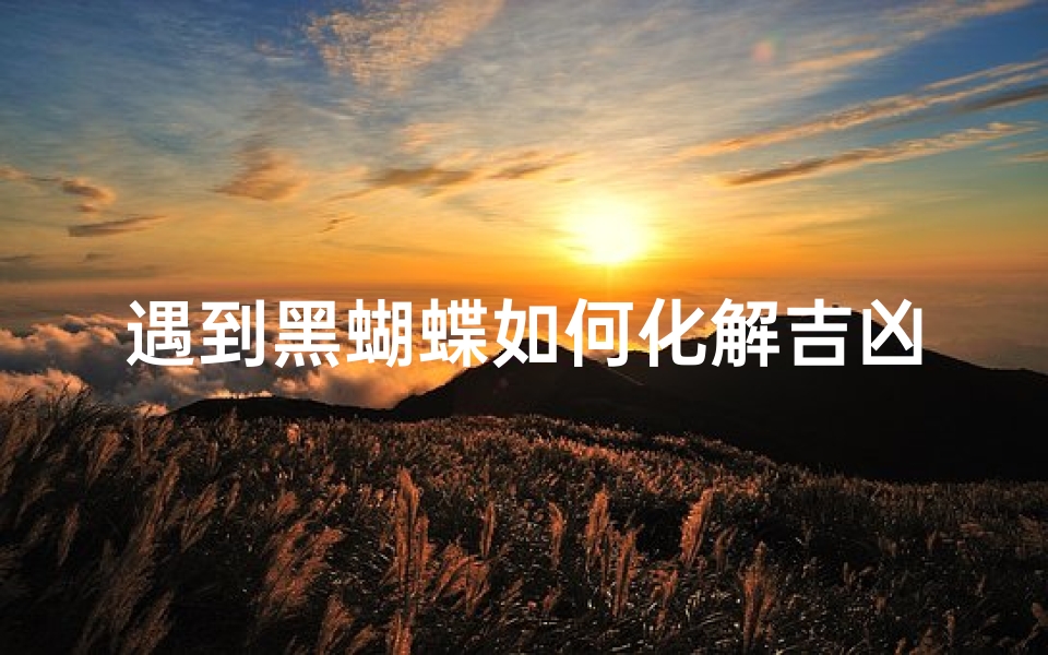 遇到黑蝴蝶如何化解吉凶呢_《黑蝴蝶降临:化解吉凶的神秘指南》