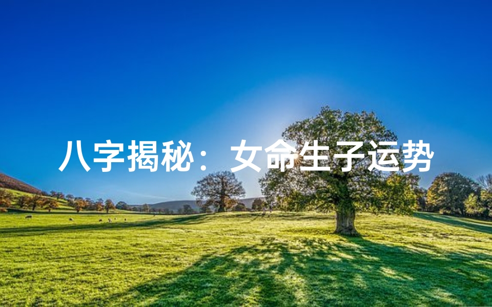 八字揭秘：女命生子运势详析