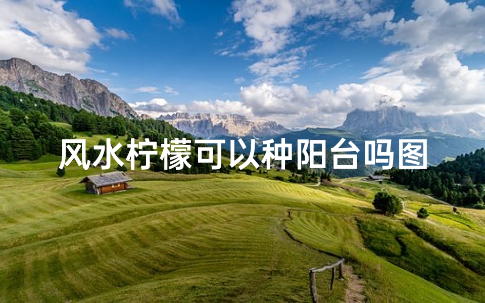 风水柠檬可以种阳台吗图片-阳台风水:柠檬种植宜忌解析