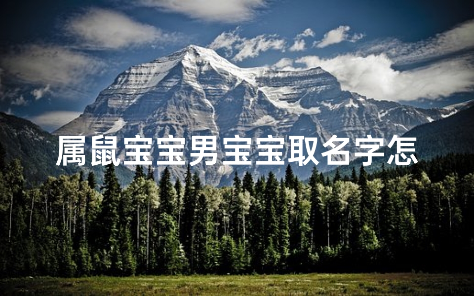 属鼠宝宝男宝宝取名字怎么取(属鼠男宝宝起名大全集)