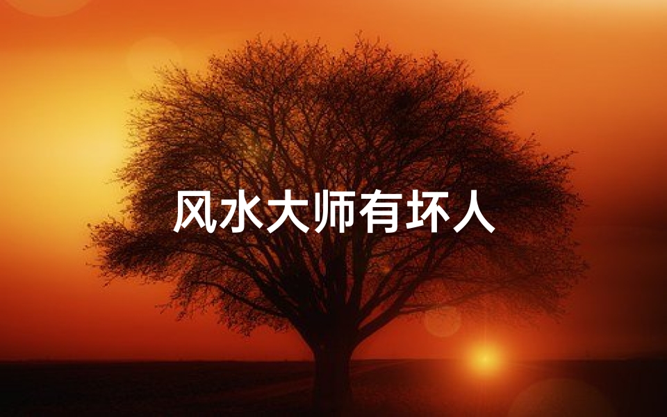 风水大师有坏人