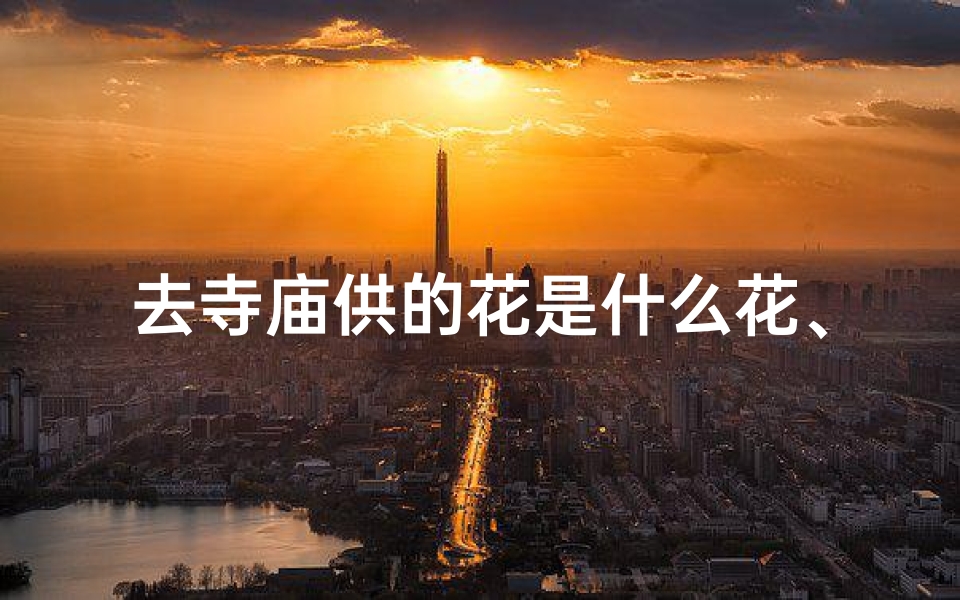 去寺庙供的花是什么花、寺庙供什么鲜花好