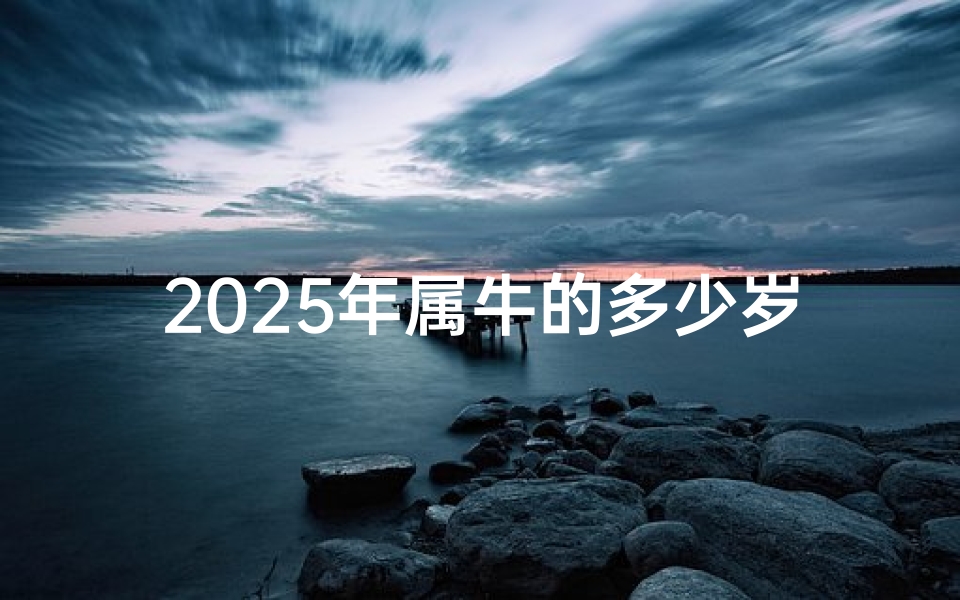 2025年属牛的多少岁—2025年属牛运势:牛年飞跃,财运亨通