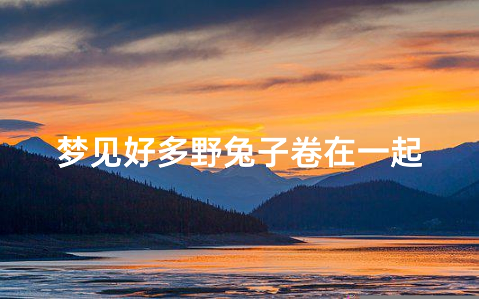 梦见好多野兔子卷在一起_梦见一堆野兔