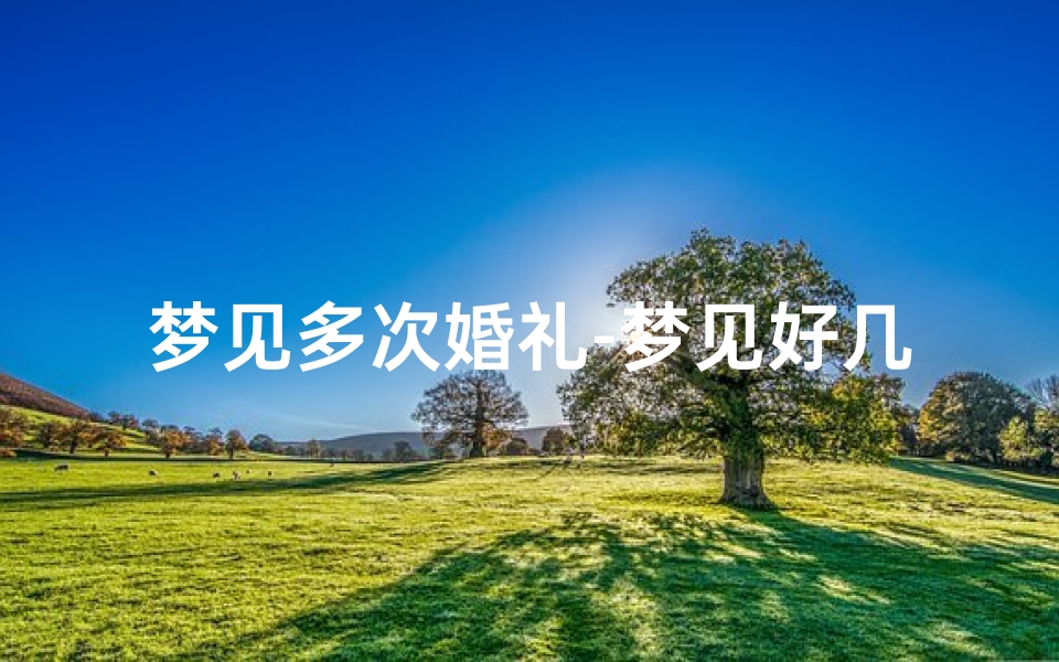 梦见多次婚礼-梦见好几个婚礼现场