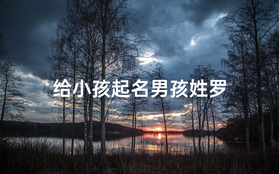 给小孩起名男孩姓罗