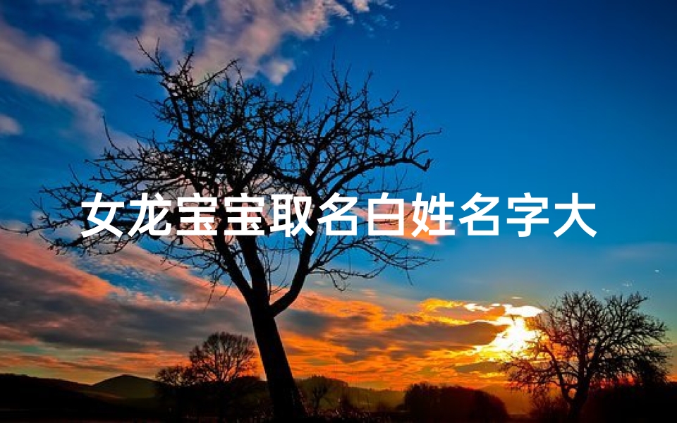 女龙宝宝取名白姓名字大全(《白姓名字大全:女龙宝宝取名精选》)
