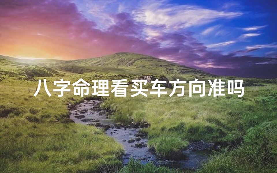 八字命理看买车方向准吗;八字选车