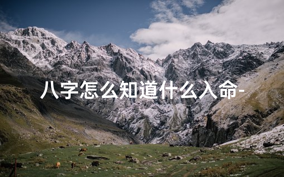 八字怎么知道什么入命-八字揭秘:如何知晓命运八字所属