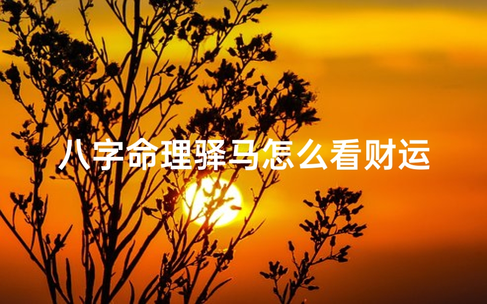 八字命理驿马怎么看财运—八字命理驿马揭秘:财运亨通的秘密法则