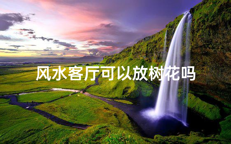 风水客厅可以放树花吗