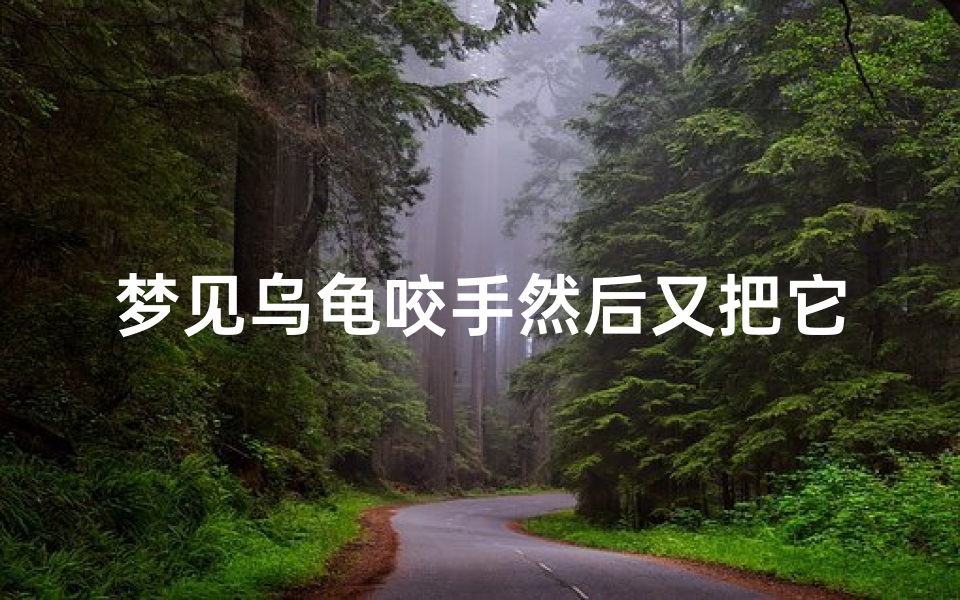梦见乌龟咬手然后又把它杀了-优贝算卦网