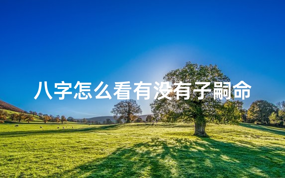 八字怎么看有没有子嗣命格-八字揭秘:如何看有没有子嗣命格